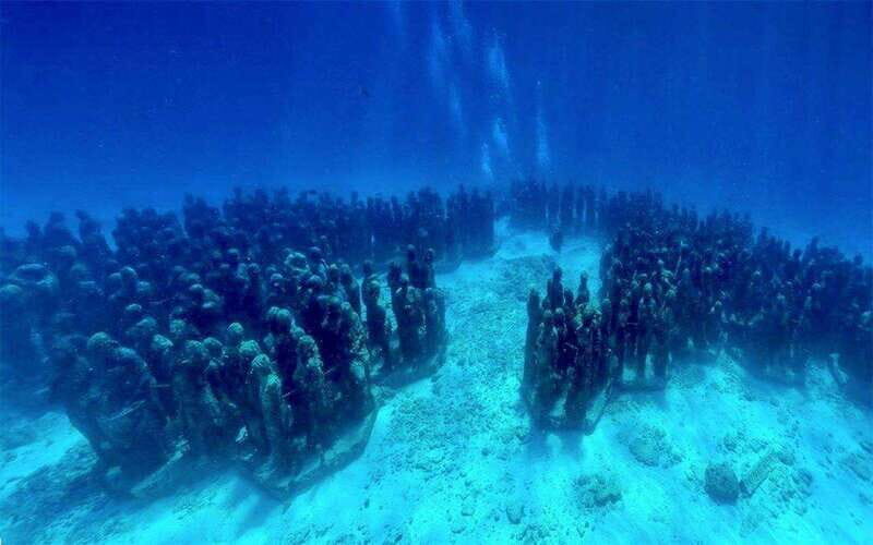 Cancun: MUSA Diving for certified divers morning dive trip - An Authentic Look at the Experience