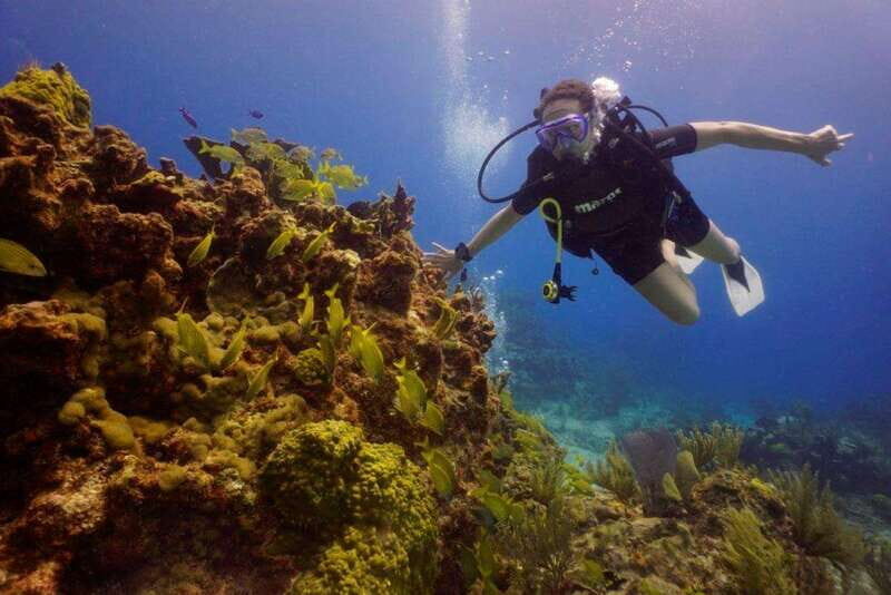 Cancun: MUSA Diving for certified divers morning dive trip - FAQ