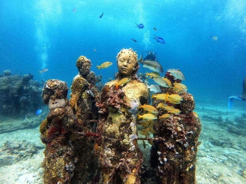 Cancun: Musa Underwater Museum & Reef Discover Scuba Diving - The Value and Why It Works