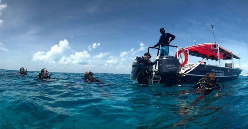 Cancun or Isla Mujeres Reef Diving for Beginners - Who Should Consider This Tour?