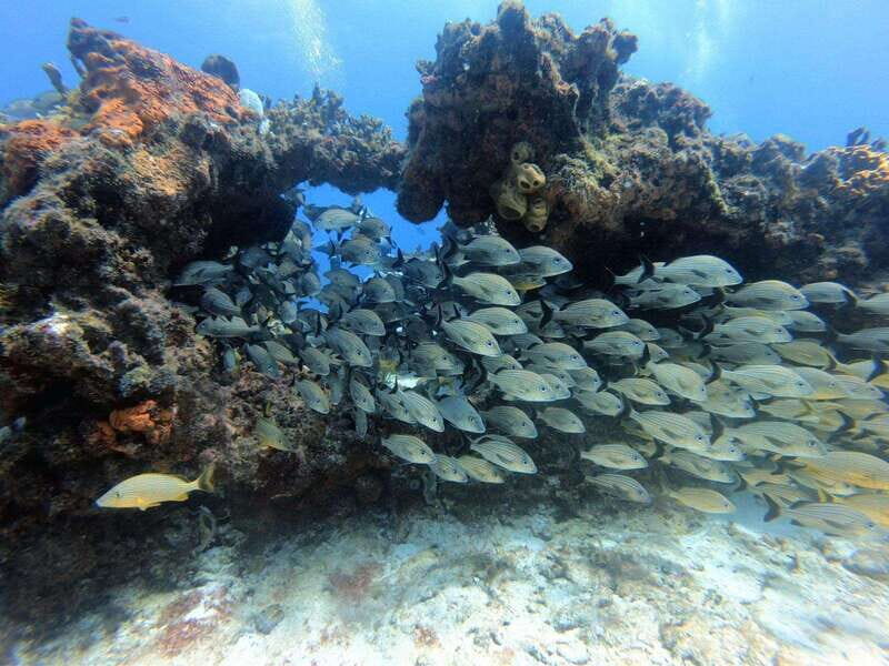 Cancun: PADI Enriched Air Nitrox Course - Introduction