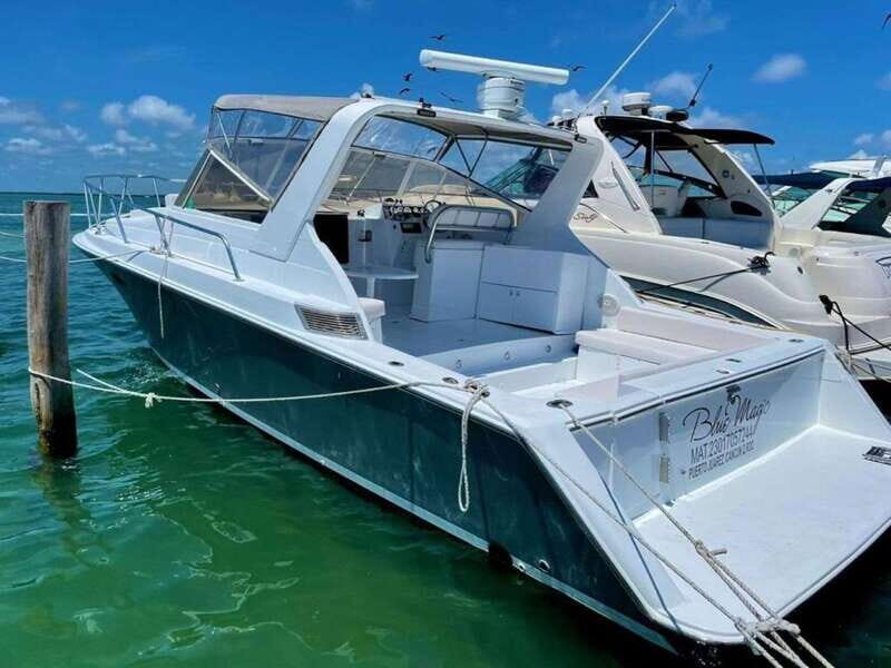 Cancún: Private Yacht Tour - Authentic Reviews: Voices from Travelers