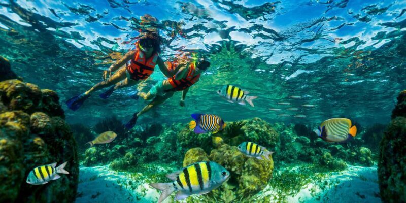 Cancún: Puerto Morelos Reef Snorkeling Tour & Seaside Lunch - Authentic Experiences and Traveler Insights