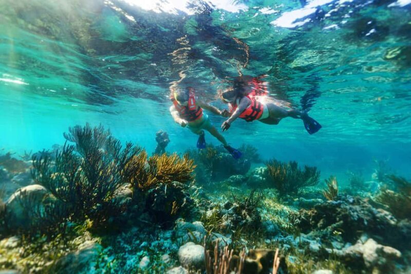 Cancún: Puerto Morelos Reef Snorkeling Tour & Seaside Lunch - Practical Tips for Making the Most of Your Trip