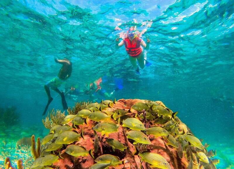 Cancún: Puerto Morelos Reef Snorkeling Tour & Seaside Lunch - The Sum Up