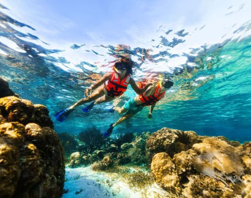 Cancún: Puerto Morelos Reef Snorkeling Tour & Seaside Lunch - FAQ