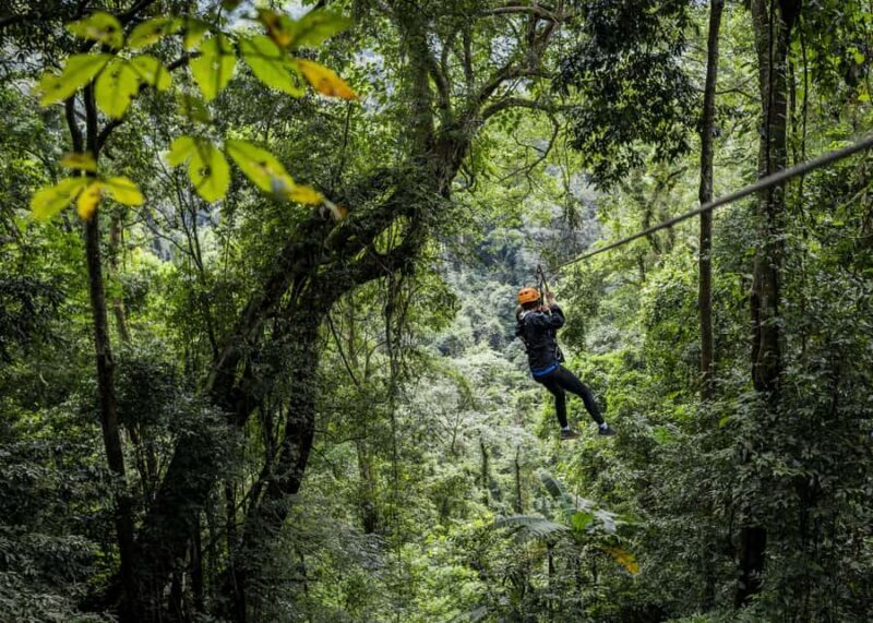 Cancun: Quad adventure, ziplines, and a swim in a jungle cenote - Key Points
