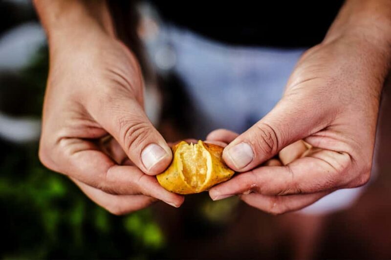 Cancún: Salsa Streets Food Tour with 15+ Tastings - FAQ