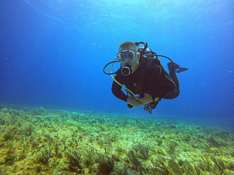 Cancun: Scuba Diving for Certified Divers, 3 options to dive - Cancun: Scuba Diving for Certified Divers, 3 options to dive