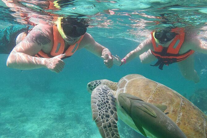 Cancun: Sea turtles and Cenote Tour With Pick Up from your Hotel - FAQ