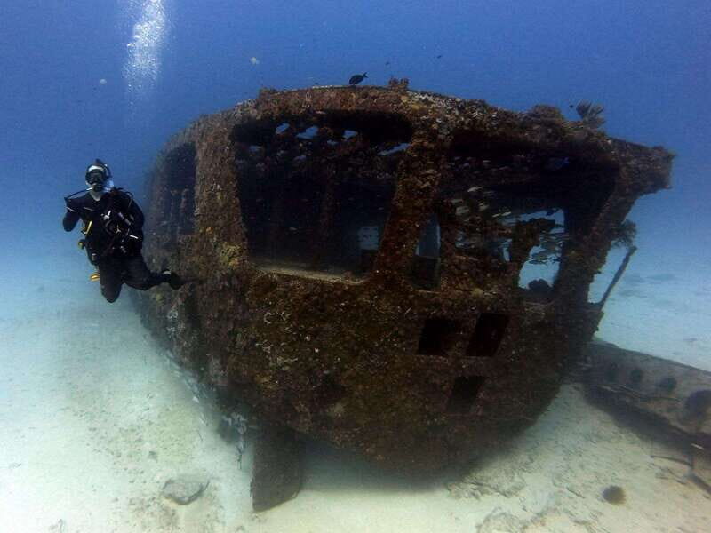 Cancun: Shipwreck & Reef for Certified Divers - Cancun: Shipwreck & Reef for Certified Divers — An In-Depth Review