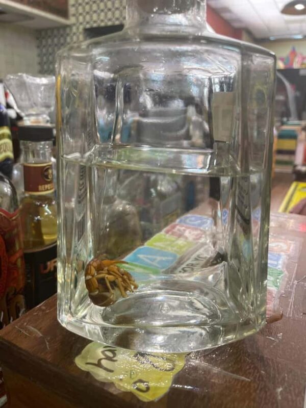 Cancun: Shopping Tour & Market 28 - FAQ: Practical Questions Answered