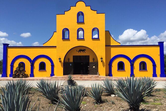 Cancun Shopping Tour with Cancun Viewpoint and Puerto Cancun Mall - Final Thoughts: Is It Worth It?