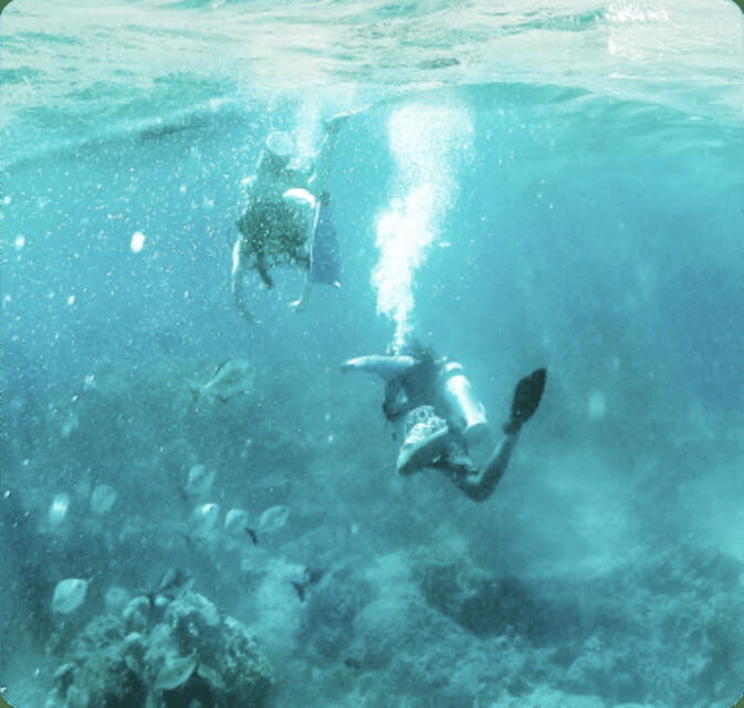 Cancun: Sian Ka'an Biosphere Reserve - Why This Tour Is a Great Choice