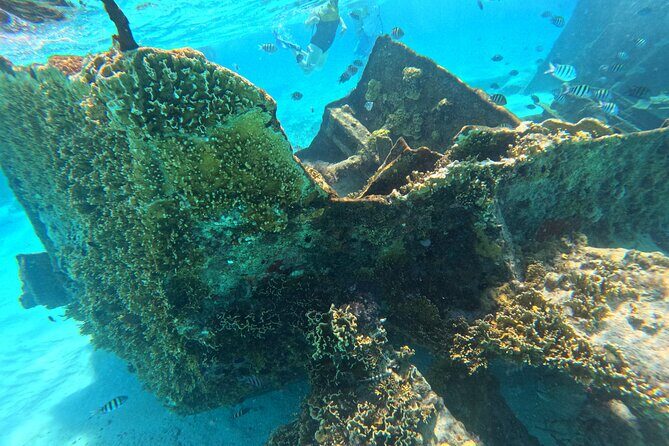 Cancun Snorkeling Adventure - Key Points