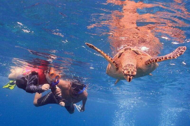 Cancun: Snorkeling at Underwater Museum & Manchones Reef - Key Points