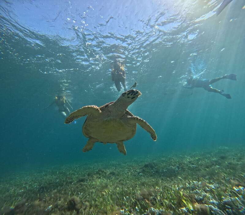 Cancun: Snorkeling Boat Tour with Gear - The Itinerary Breakdown