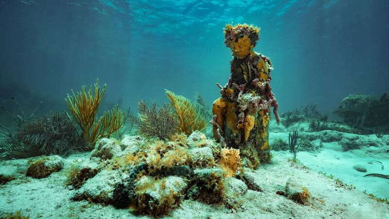 Cancun: Snorkeling Tour at MUSA The Underwater Museum - Cancun: Snorkeling Tour at MUSA The Underwater Museum – A Practical, Authentic Adventure