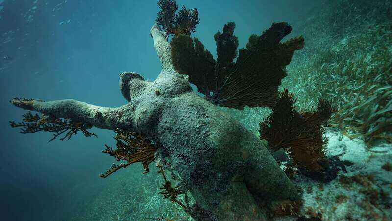 Cancun: Snorkeling Tour at MUSA The Underwater Museum - A Well-Balanced Adventure in a Unique Setting