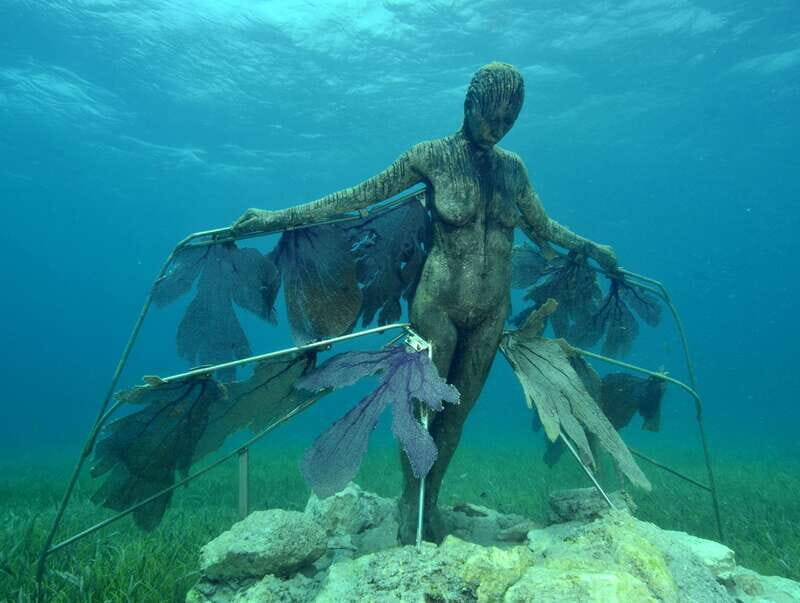 Cancun: Snorkeling Tour at MUSA The Underwater Museum - The Sum Up