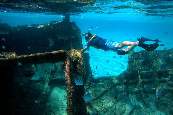 Cancun Snorkeling Tour: Swim with Turtles, Reef, Underwater Museum and Shipwreck - Final Thoughts