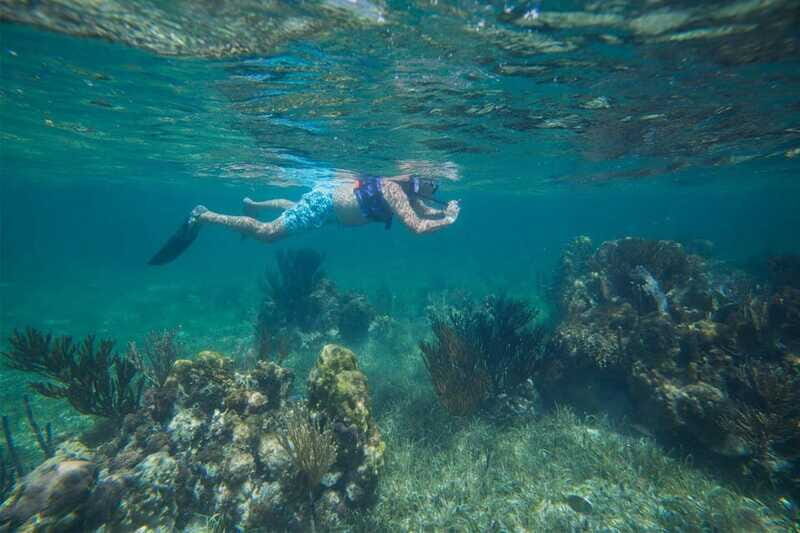 Cancun: Snorkeling Tour with Hotel Pickup - Why It Offers Good Value