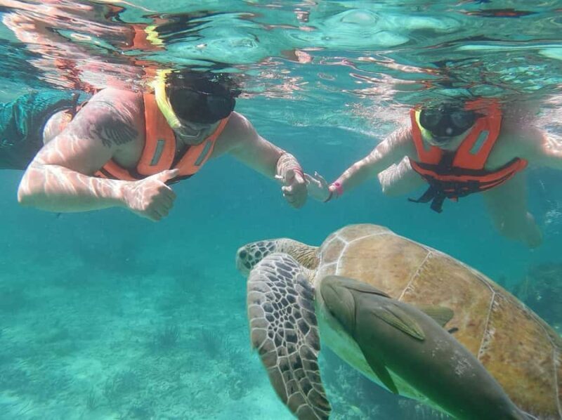 Cancun: Snorkeling tour with Sea Turtles & Cenote, half day. - Price, Value, and Practical Tips