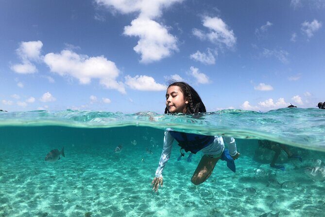 Cancun Speed Boat, Parasailing and Dolphin Beach with Transport - A Detailed Look at the Tour Experience