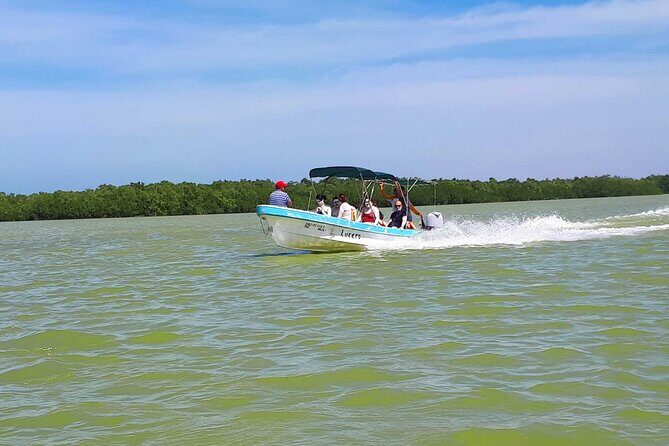 Cancun tour Las Coloradas Pink Lagoon + Rio Lagartos Tour - Whats Included and Whats Not