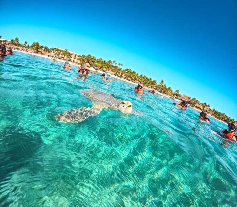 Cancun: Tulum Ruins, Akumal Turtles, Cenote & Caves Tour - Final Thoughts