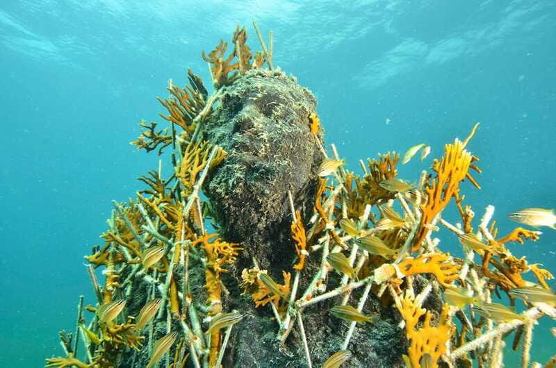 Cancún: Underwater Museum & Reef for Certified Scuba Divers - Key Points