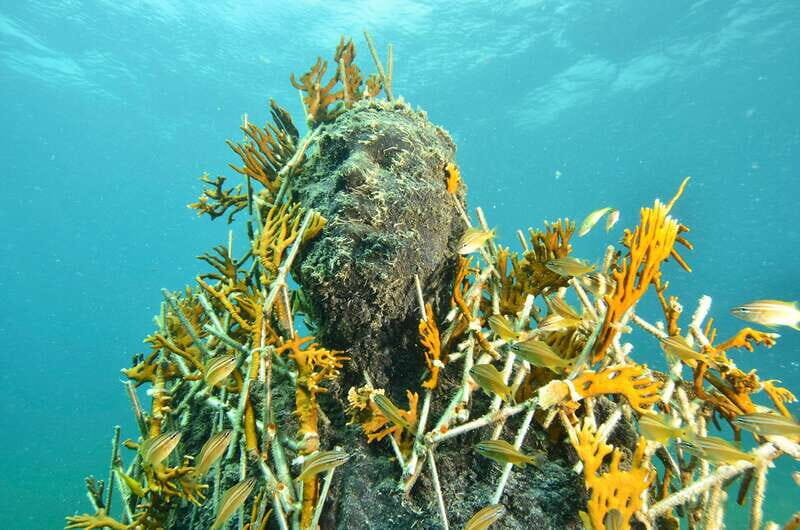 Cancún: Underwater Museum & Reef for Certified Scuba Divers - In-Depth Breakdown of the Itinerary