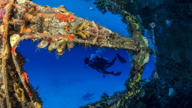 Cancún: Wreck and Reef for Certified Scuba Divers - In-Depth Review of the Cancún Wreck and Reef Tour