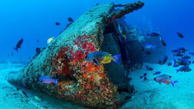 Cancún: Wreck and Reef for Certified Scuba Divers - The Sum Up