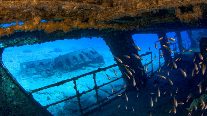 Cancún: Wreck and Reef for Certified Scuba Divers - FAQ
