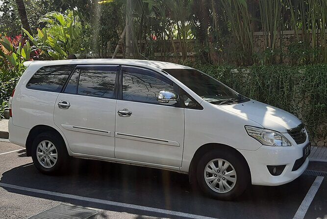 Candidasa Private Car with English Speaking Driver - Tegalalang Rice Terrace: Iconic Bali Landscape