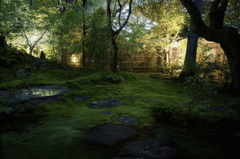 Candlelit Zen: Evening Meditation at Kyotos Secret Temple - Summary: Who Is This Tour Best For?