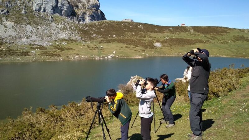 Cangas de Onís: Lakes of Covadonga Guided Tour - Key Points