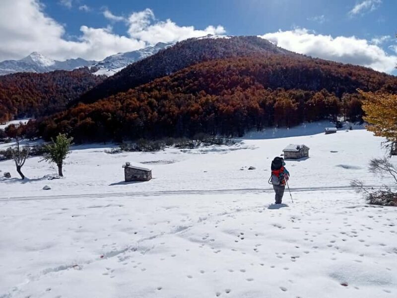 Cangas de Onís: Route in the Vegabaño Forest with lunch at a mountain refuge - The Return and Reflection
