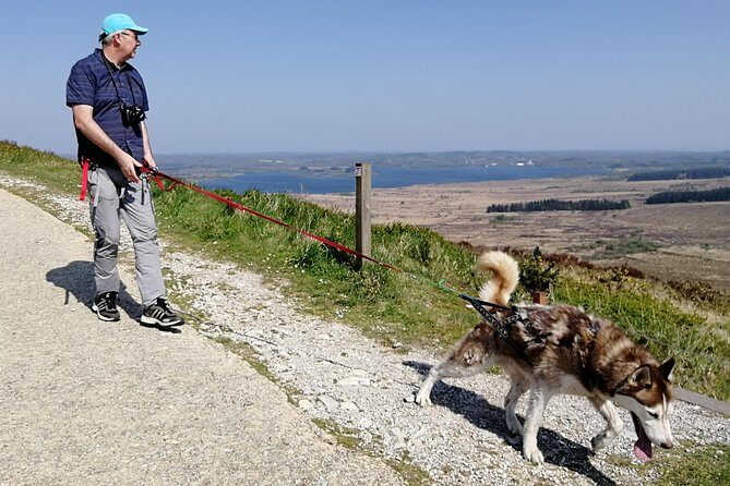 Cani Rando, fun and original hiking, pulled by huskies - Final Thoughts