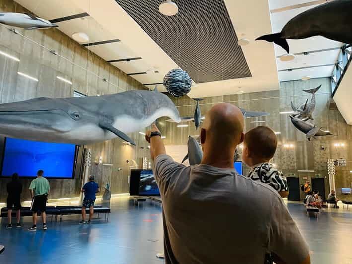 Caniçal : Madeira Whale Museum Entry ticket - A Complete Look at the Madeira Whale Museum Experience