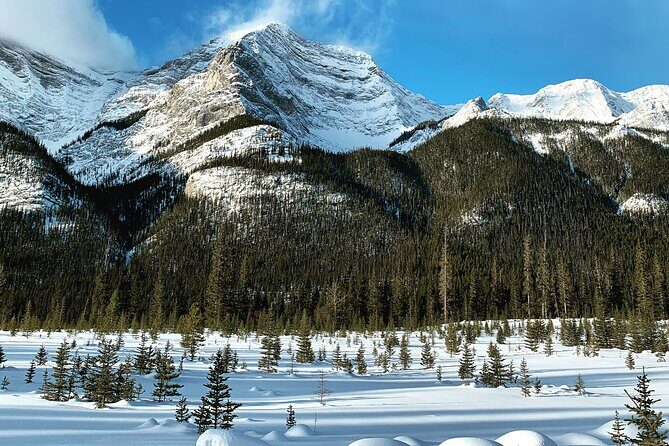 Canmore 2 Hour Guided Snowshoeing Adventure with Transportation - FAQ about the Canmore 2-Hour Guided Snowshoeing Adventure