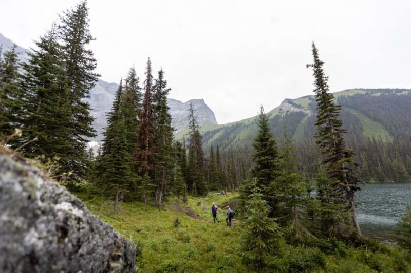Canmore: 3 Hour Local Explorer Tour and Hike with a Guide - Final Thoughts