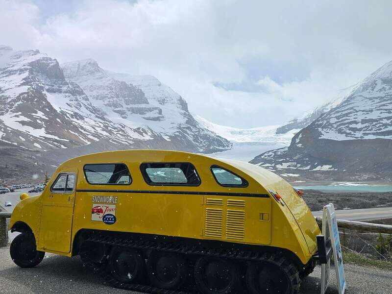 Canmore/Banff: Columbia Icefield, Skywalk, Peyto Day Tour - Key Points