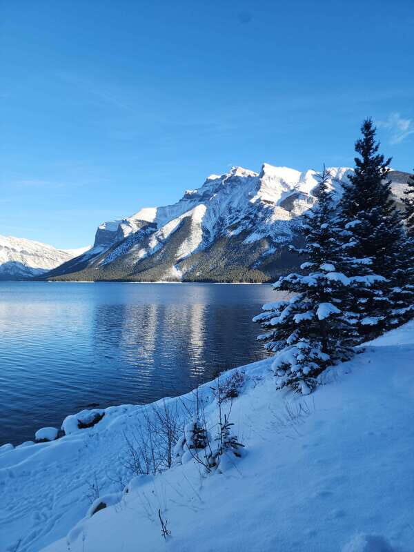 Canmore/Banff: Explore Banff & Wildlife - Discover Banff & Wildlife on a 4-Hour Guided Tour
