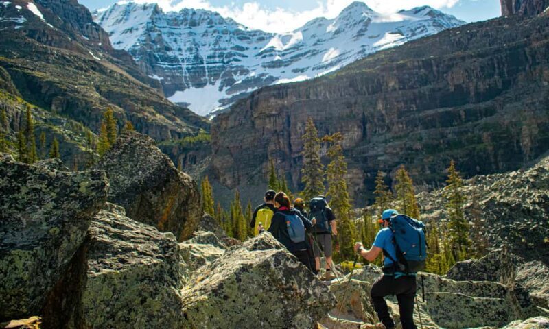 Canmore/Banff: Premium hiking tours in Banff region - Exploring the Highlights of the Canadian Rockies