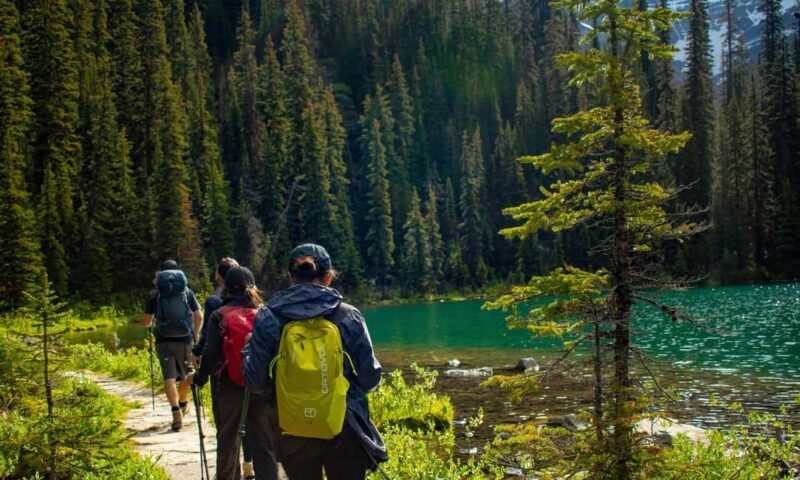 Canmore/Banff: Premium hiking tours in Banff region - The Value of the Experience