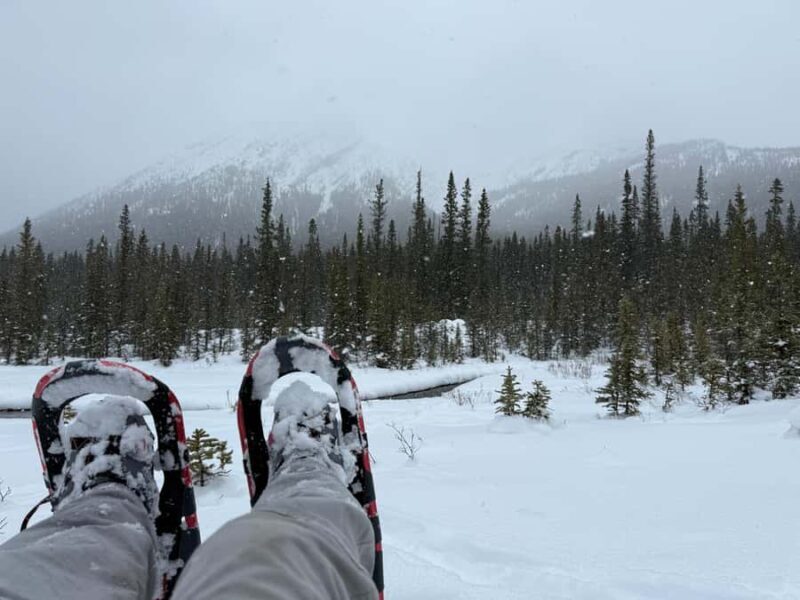Canmore/Banff Snowshoeing Adventure Including Transportation - Key Points