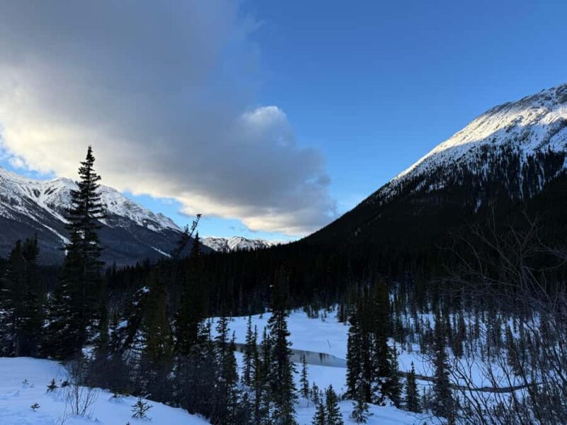 Canmore/Banff Snowshoeing Adventure Including Transportation - FAQ