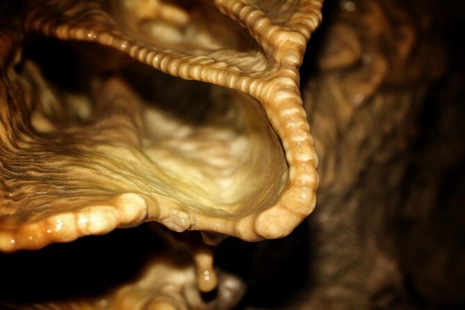 Canmore Caving Adventure Tour - What’s Included and What to Consider